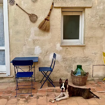 Corte Oliveta Apartmán